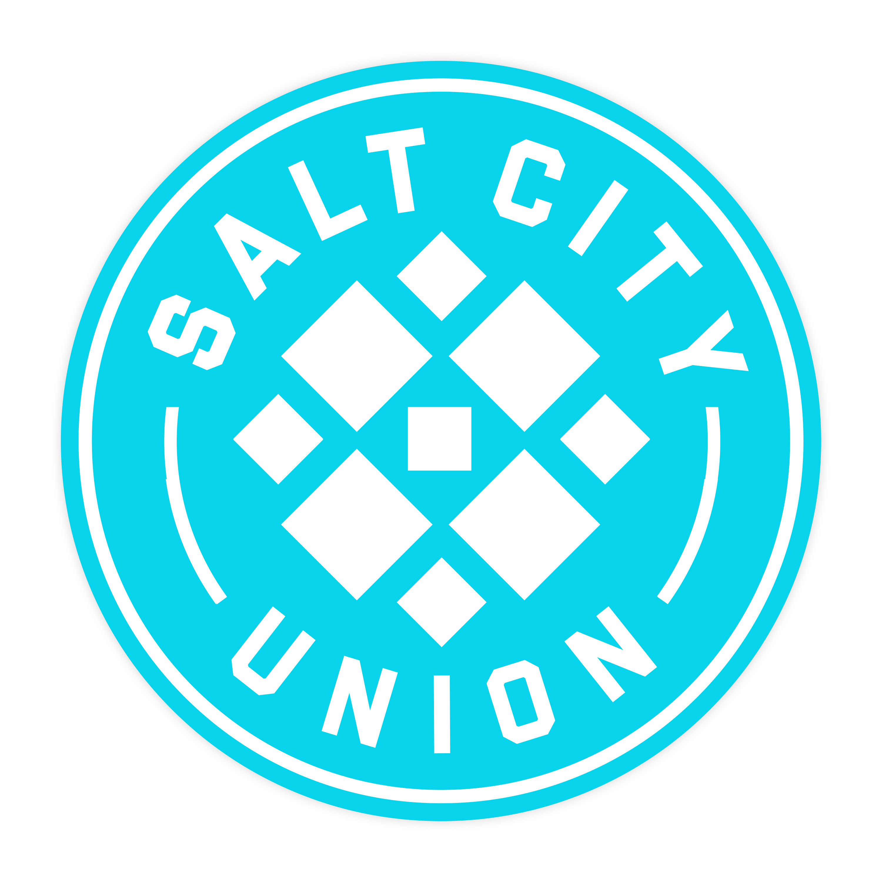salt-city-union-flower-city-union